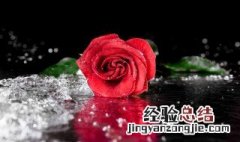 玫瑰花束怎么保持新鲜 玫瑰花束怎么能保存长久