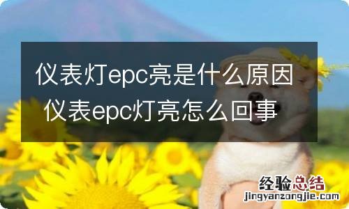 仪表灯epc亮是什么原因 仪表epc灯亮怎么回事