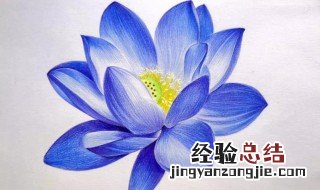 蓝莲花的寓意 蓝莲花有什么寓意