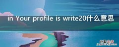 in Your profile is write20什么意思