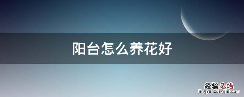 阳台怎么养花好