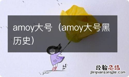 amoy大号黑历史 amoy大号