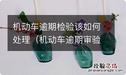 机动车逾期审验怎么办 机动车逾期检验该如何处理