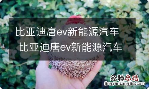 比亚迪唐ev新能源汽车 比亚迪唐ev新能源汽车销量