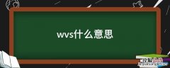 wvs什么意思