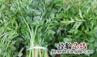 折耳菜是什么 折耳菜是什么菜