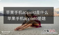 苹果手机appleid是什么 苹果手机appleld是啥