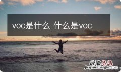 voc是什么 什么是voc