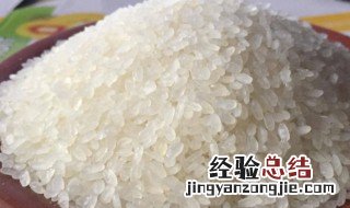 什么是阴米 阴米的功效与作用有哪些 什么是阴米