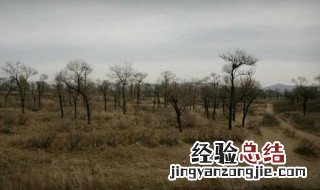 参合陂在哪里 参合陂怎么读