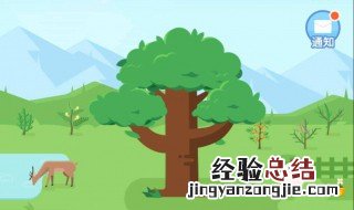 在蚂蚁森林里给好友浇水一次最多可以浇多少g？ 蚂蚁森林介绍