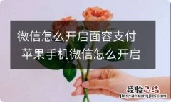 微信怎么开启面容支付 苹果手机微信怎么开启面容支付