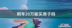 明年20万能买房子吗