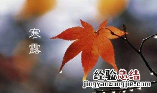 寒露是什么季节 寒露季节介绍