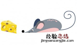圆形老鼠夹使用方法 圆形老鼠夹使用方法是什么