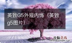 英致g5图片 英致G5外观内饰