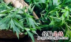 什么人不能用艾草枕头 哪些人不能用艾草枕头