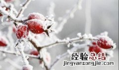 24节气立冬的生活习惯 24节气立冬的生活习惯是啥