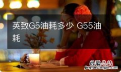 英致G5油耗多少 G55油耗