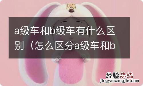 怎么区分a级车和b级车 a级车和b级车有什么区别