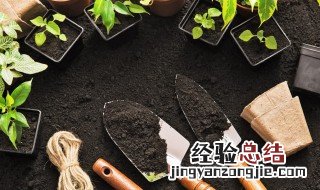 春兰独蒜兰等在广东栽种为什么不开花