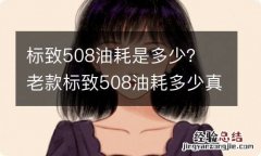 标致508油耗是多少？ 老款标致508油耗多少真实油耗