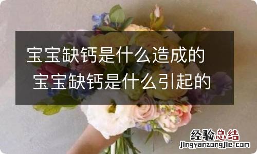 宝宝缺钙是什么造成的 宝宝缺钙是什么引起的