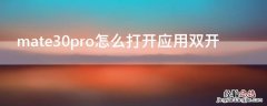 华为mate40pro怎么双开应用 mate30pro怎么打开应用双开