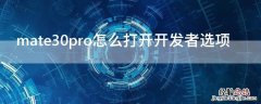 mate30pro开发者模式在哪 mate30pro怎么打开开发者选项