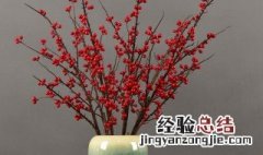 冬青怎样做干花 冬青怎样做干花?