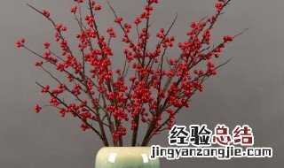 冬青怎样做干花 冬青怎样做干花?