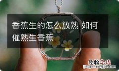 香蕉生的怎么放熟 如何催熟生香蕉