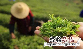 庐山云雾茶的特点及卖点 庐山云雾茶的特点