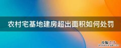 农村宅基地建房超出面积如何处罚