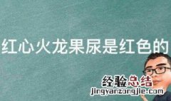 为什么吃了红心火龙果尿是红色的 吃了红心火龙果尿是红色的真相