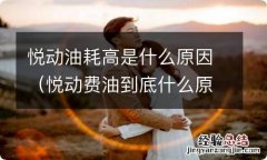 悦动费油到底什么原因 悦动油耗高是什么原因