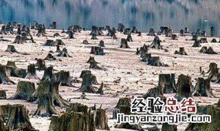 环境问题有哪些 有关环境问题介绍