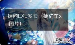 捷豹车xl图片 捷豹EXL多长