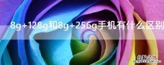 8g+128g和8g+256g手机有什么区别