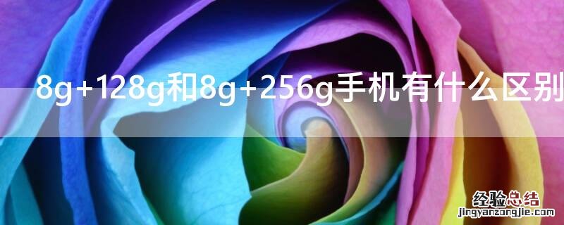 8g+128g和8g+256g手机有什么区别