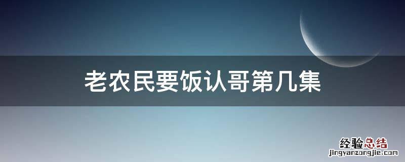 老农民要饭认哥第几集