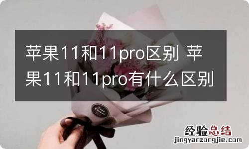 苹果11和11pro区别 苹果11和11pro有什么区别