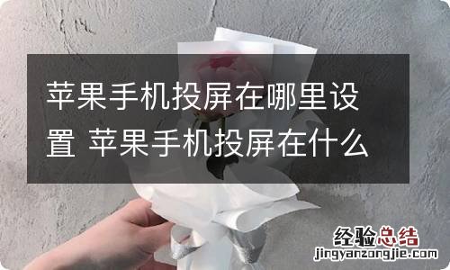 苹果手机投屏在哪里设置 苹果手机投屏在什么地方设置