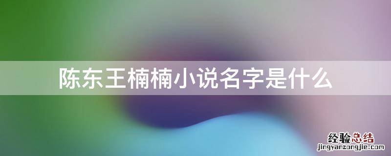 陈东王楠楠小说名字是什么