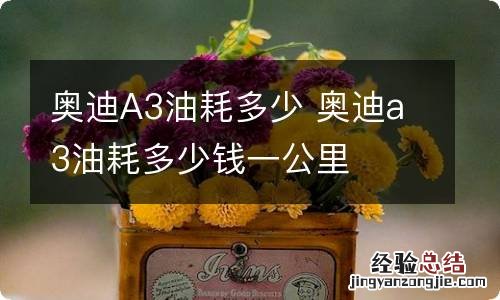 奥迪A3油耗多少 奥迪a3油耗多少钱一公里