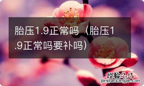 胎压1.9正常吗要补吗 胎压1.9正常吗