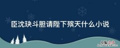 臣沈玦斗胆请陛下殡天什么小说