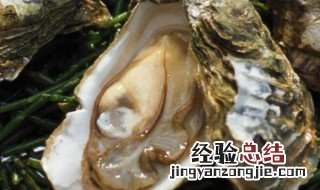 海蛎里面的黑色东西可以吃吗 海蛎里面的黑色东西是什么