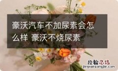 豪沃汽车不加尿素会怎么样 豪沃不烧尿素