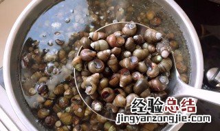 活田螺怎么存放 存放活田螺的方法介绍